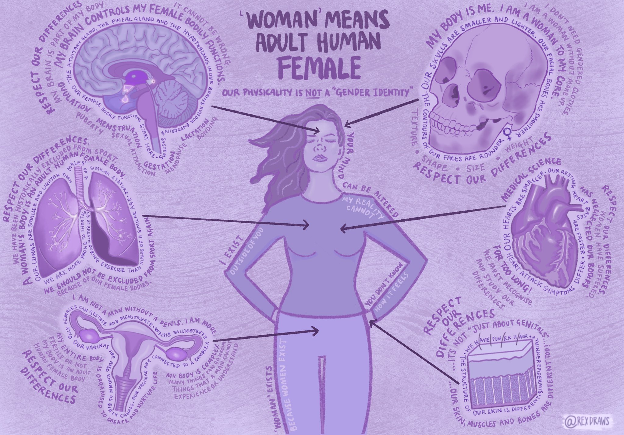 Do Human Females Use Indirect Aggression As An Intrasexual