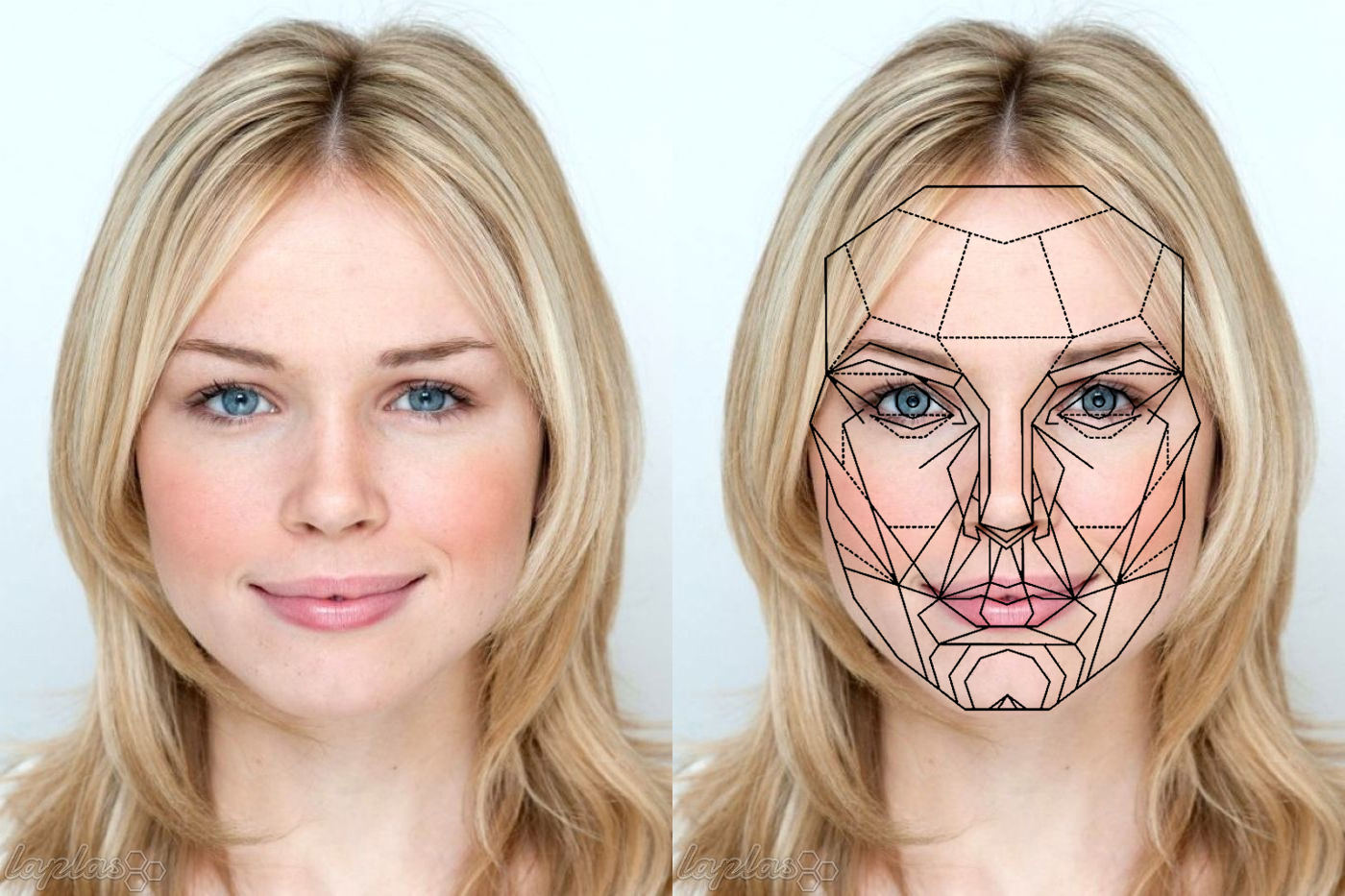 female perfect face template